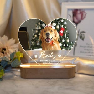 Pet Memorial Night Light, Custom Pet LED Night Light, Pet Night Light, Custom Pet Photo, Pet Memorial Frame, Gift for Pet, Cat Dog Loss Gift