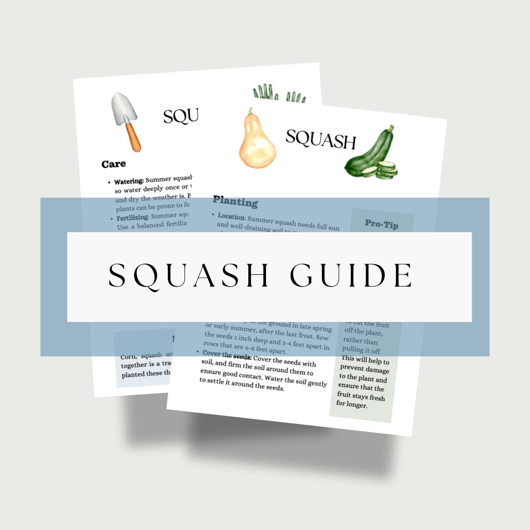 Squash Planting Guide Etsy
