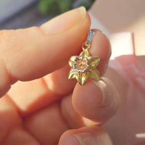 Charm de narciso de plata de ley y oro: Flor de nacimiento de marzo, Pulsera con clip