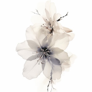 Beautiful Cherry Blossom Black & White Inked Drawing - High Resolution PNG, JPG, PSD Files, 300 dpi, Perfect for Home, Kitchen, Office Decor