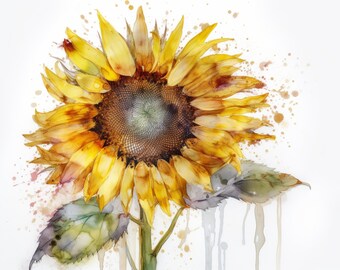 Beautiful Sunflower Watercolor Painting Digital Art Drawing PNG, JPG, SVG 300dpi 4:3