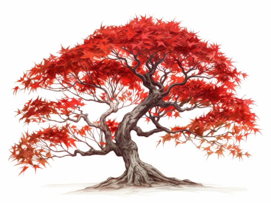 Cartoon Maple Tree cartoon-maple-tree