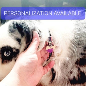 May include: A close-up of a dog wearing a black and pink collar with a bone-shaped tag. The tag is engraved with the words "PERSONALIZATION AVAILABLE".