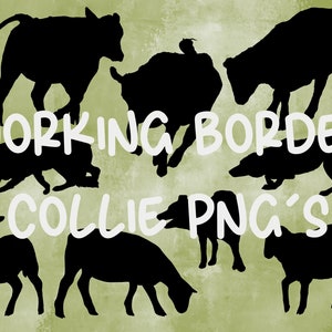 Puede incluir: Siluetas de varios animales de granja, incluyendo vacas, ovejas y perros, sobre un fondo verde. El texto "WORKING BORDER COLLIE PNG'S" está escrito en blanco sobre la imagen.