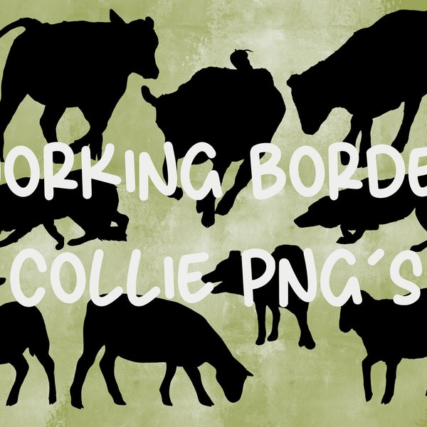 Working Border Collie .PNG & .SVG Files