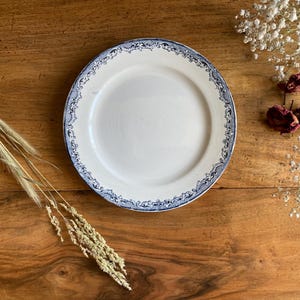 SARREGUEMINES dessert plates - Fontanges decor