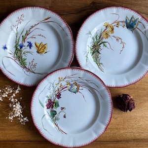 Lot De 2 Assiettes En Plastique Vintage, Motif Fruits Et Papillon