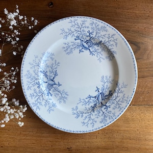 Assiettes plates Terre de Fer - Décor Coquillages