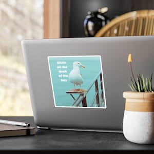 Sittin On the dock of the Bay | Funny Seagull  | Sea Birds | Kiss-Cut Vinyl Decals