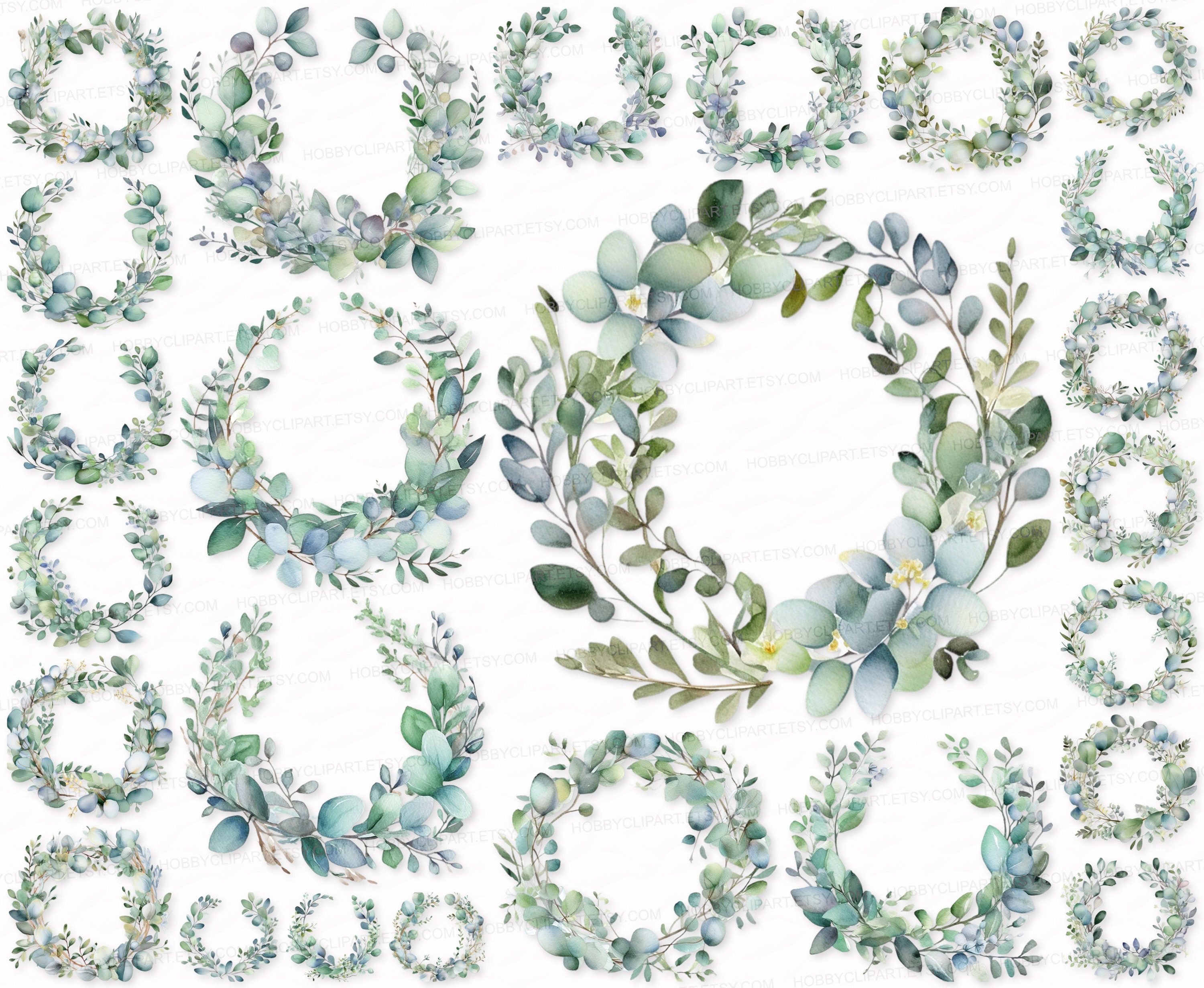 Watercolor Eucalyptus Wreath Clipart Set: Floral SVG PNG (digital ...