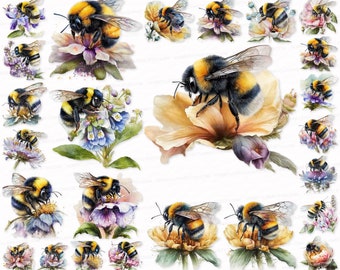 Flower Bumblebee Bee PNG SVG Watercolor 30 Clipart Set Floral Bee Clip Art Bee Sublimation Digital Download   Honeybee Floral