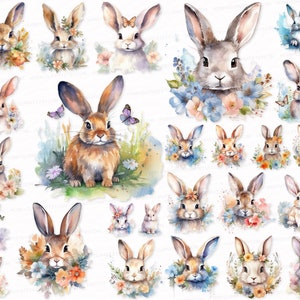 Hare PNG SVG Watercolor Clipart Set Flower Hare Sublimation Digital Download   Hare Stickers Scrapbook Images, Bunny, Cute