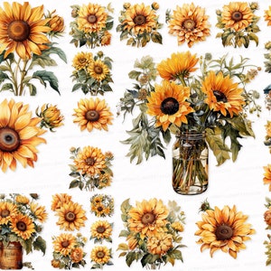 Sunflower PNG SVG Clipart Set Transparent Background Digital Download   Scrapbook Images Digital Stickers, farm clipart, flower