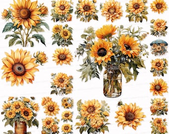 Sunflower Clipart Set: PNG SVG, Farm Floral Images (Digital Download)