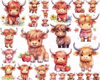 Calf Highland Baby Cows PNG SVG Watercolor 25 PNG Clipart Set Baby Cow Clip Art Cow Sublimation Digital Download   Stickers