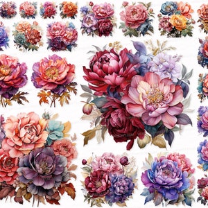 Colorful Peony Peonies PNG SVG Watercolor Clipart Set Peony Clip Art Peony Sublimation Digital Download   Stickers flower