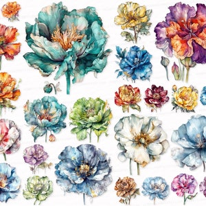 Poppy PNG SVG Watercolor Clipart Set Poppy Sublimation Digital Download Commercial Use Scrapbook Images Digital Clipart Png flower floral