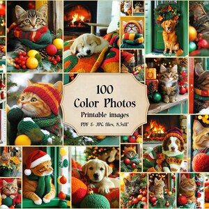 Christmas Cats Dogs Kittens Digital Photos 100 Printable Photo Prints Download  Printables Files JPG Art Image, Xmas, Noel, cat, cats