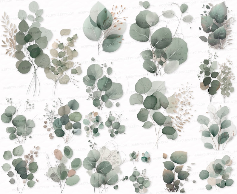 Eucalyptus Twig PNG SVG Watercolor Clipart Set Wedding Festive Decor ...