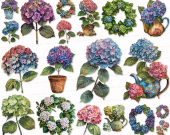 Vintage Hydrangea Watercolor Clipart Set: Floral PNG SVG (Digital Download)