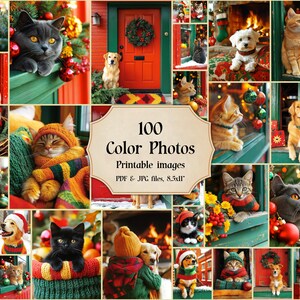 Christmas Printable Cats Dogs Kittens Photos 100 Digital Printable Photo Prints Download Printables Files JPG Art Image, Xmas, Noel, cat