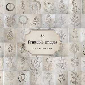 Art Collage Set 45 JPG Retro Wall Decor Printable Eclectic Neutral Prints Aesthetic Plant Images for Junk Journals Images, photo frame Print