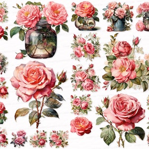 Rose Clipart Set: PNG SVG Floral Illustrations (Digital Download)