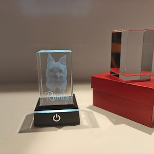 Op de afbeelding: Een helder glazen blok met een 3D-afbeelding van een hond, verlicht door een zwarte basis met een aan/uit-symbool. De naam van de hond, "Romey", is eronder gegraveerd. Een helder glazen blok staat op een rode doos.