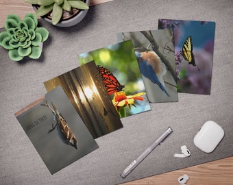 Nature Birthday Cards,  (5-Pack) Multi-Design Birthday Cards, Todd Swisher, Nature Greeting Cards, Birthday Cards, Funny Birthday Cards
