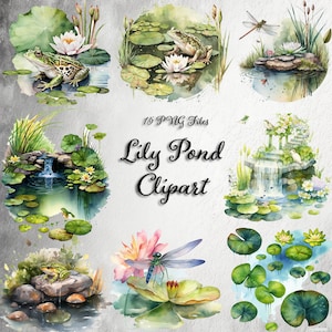 Aquarela Lily Pond PNG clipart - Sapo e libélula no sapo. Download digital