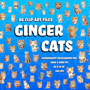 Cute Ginger Cat Clip Art Bundle | 86 High-Quality PNG Files| Transparent background | For POD, Large Prints, Stickers, and Creative Projects