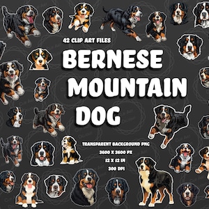 Bernese Mountain Dog Clipart with Transparent Background | 42 PNG Dog Files | BMD Illustrations | Pet Lovers Digital Art | Instant Download