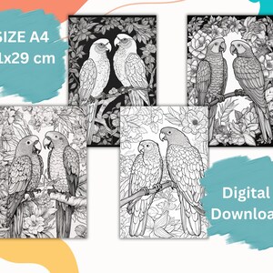 Puede incluir: Una página para colorear de descarga digital que presenta dos loros posados en una rama rodeados de flores. La página tiene un tamaño A4, que es 21x29 cm.
