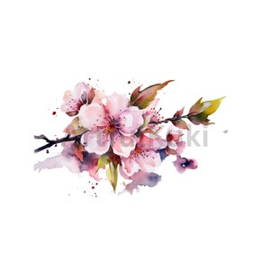 Akvarell Sakura-blomma Clipart: Rosa och lila körsbärsblommor PNG (digital nedladdning) bild 2