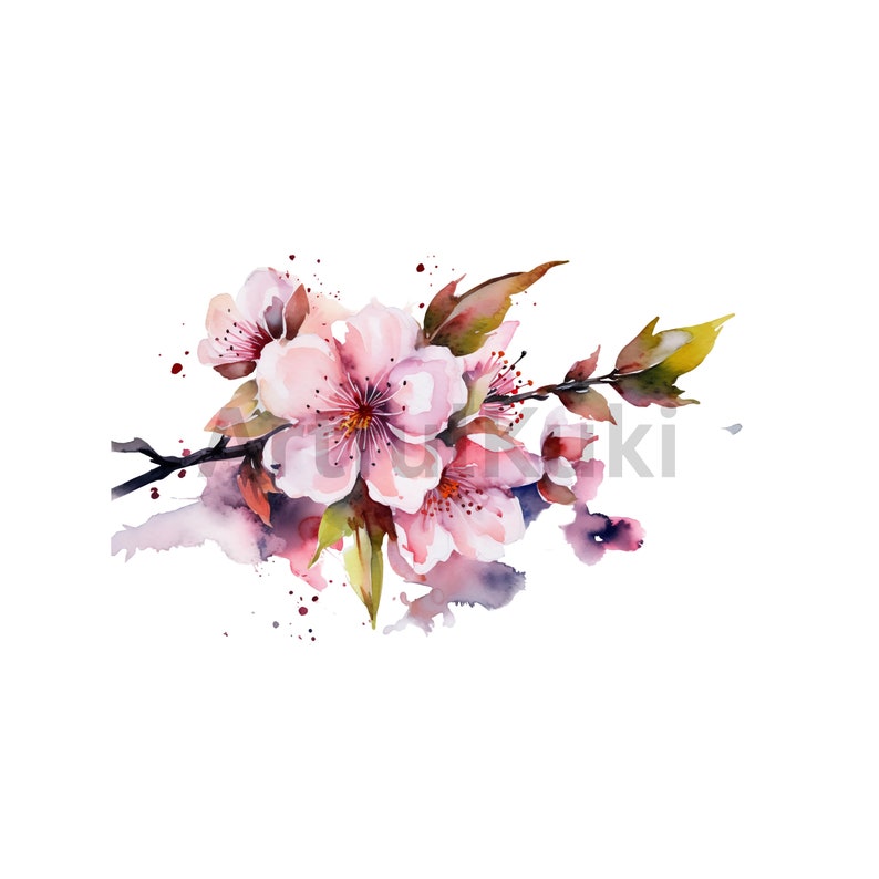 Akvarell Sakura-blomma Clipart: Rosa och lila körsbärsblommor PNG (digital nedladdning) bild 2