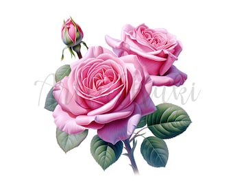 Rosa Rosa Moyesli Clipart: 11 ros PNG-bilder (digital nedladdning)