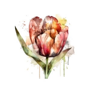 Watercolor Tulip PNG Clipart with Transparent Background - Floral Summer Clipart for Wedding Invitations, crafting and more