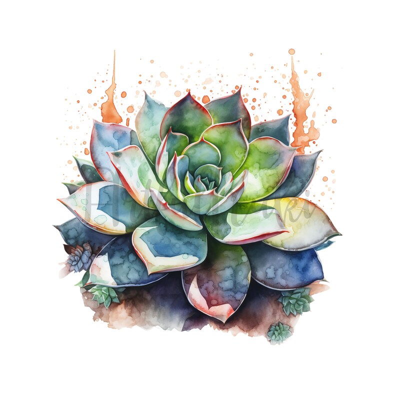 Watercolor Succulent Clipart Set: PNG Graphics (digital Download) - Etsy
