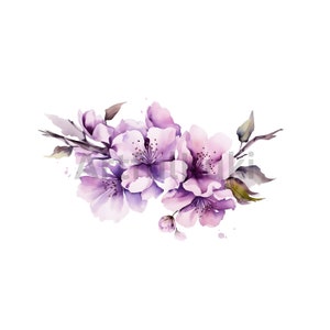 Lot de 10 PNG de fleurs de Sakura roses et violettes - Clipart aquarelle de fleurs de cerisier sans fond - pour cartes de mariage, décoration printanière et plus encore
