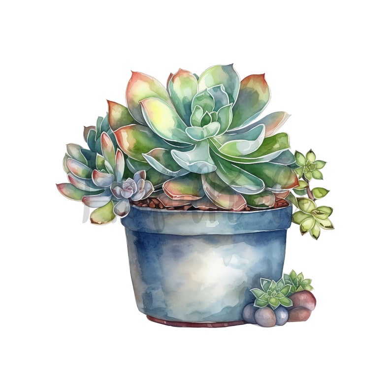 Watercolor Succulent Clipart Set: PNG Graphics (digital Download) - Etsy