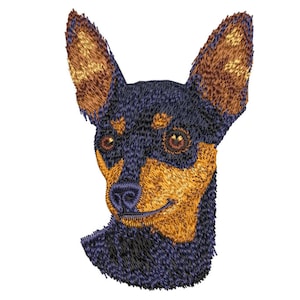 Mini Pinscher