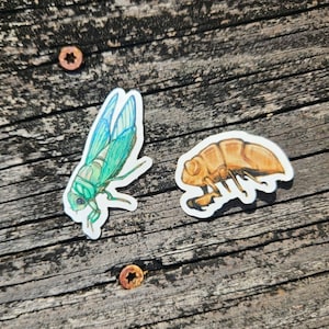 Cicada Sticker Pack