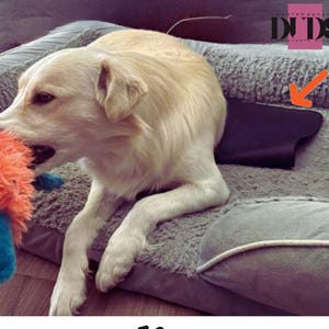 Alfombrilla de conexión a tierra para mascotas, almohadilla Earths Electron para interiores, alfombra natural para aliviar el dolor de 33 x 60 cm, alfombra antiestrés para gatos y perros, etiqueta GPS con conexión a tierra