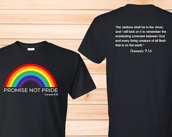 Promise Not Pride Rainbow Christian T-Shirt, Genesis 9:16 Faith Apparel