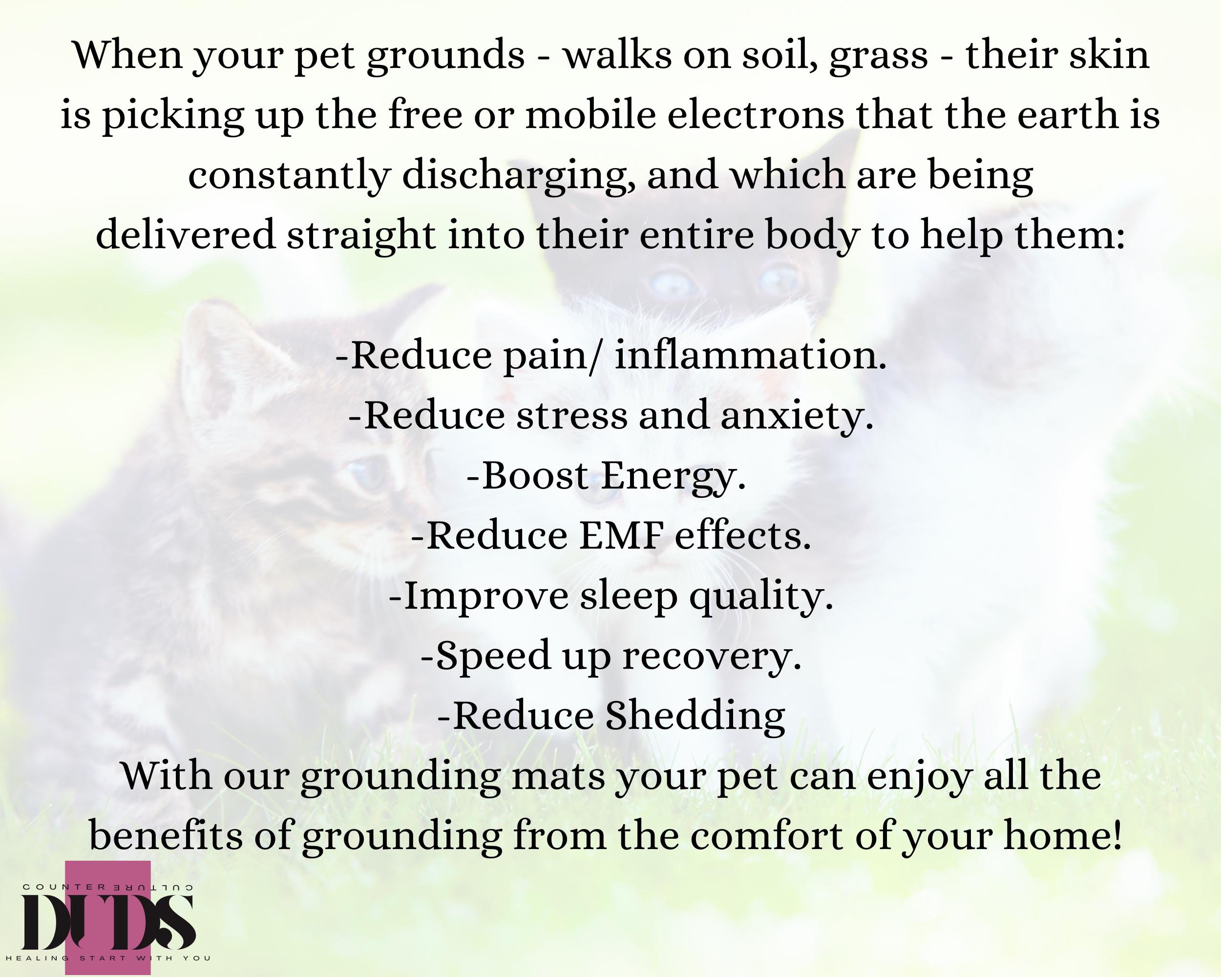 Stress Rug Pet Grounding Mat, Earths Electron Indoors Pad, Natural Pain Relief Rug ...