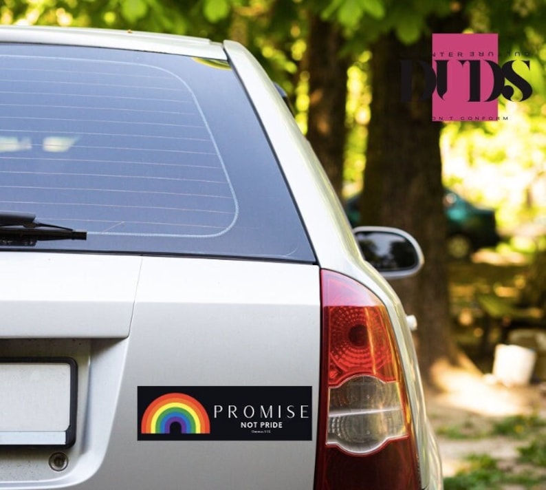 May include: A silver car with a rainbow sticker that says "Promise Not Pride" on the back window.