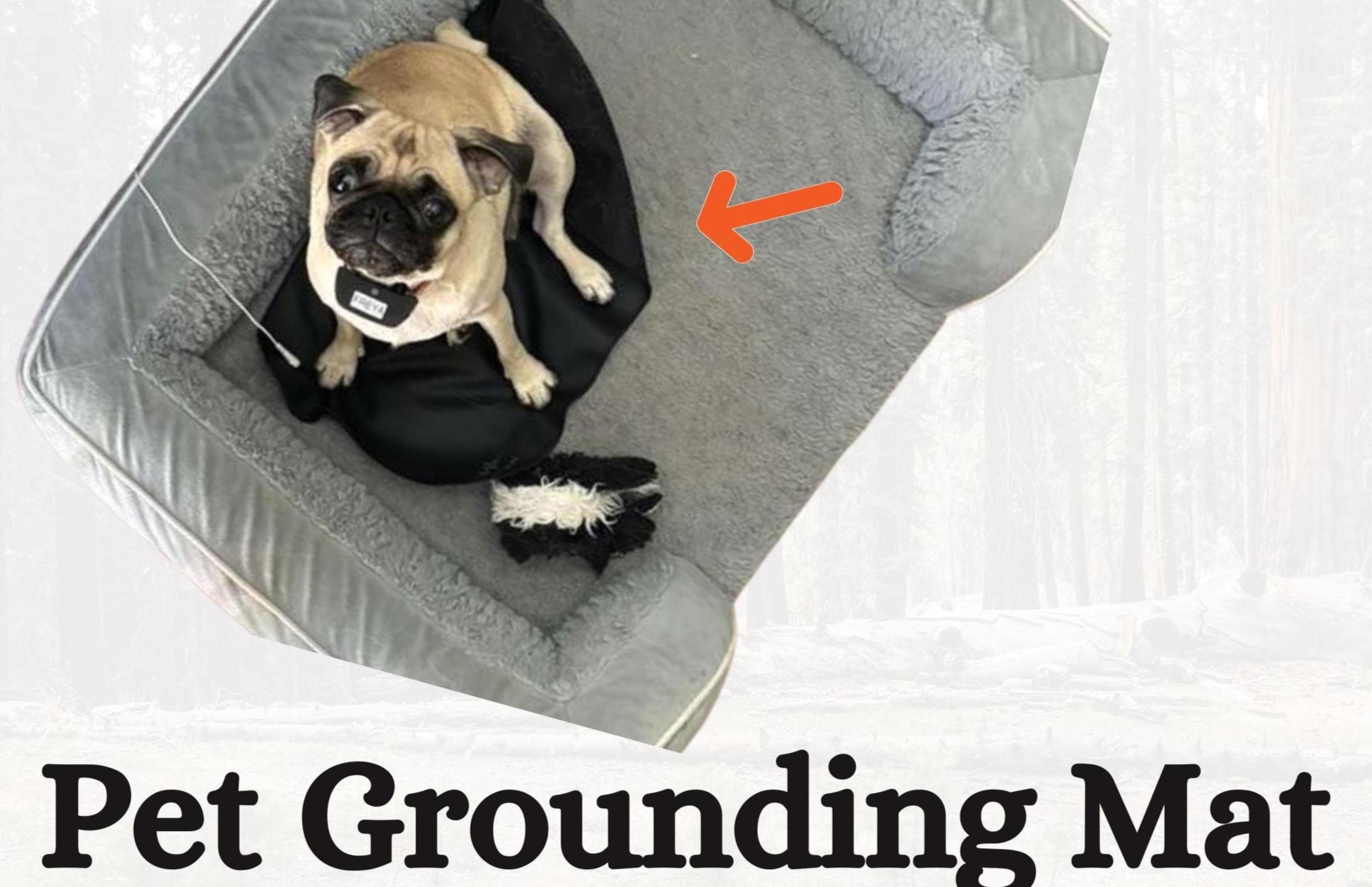 Stress Rug Pet Grounding Mat, Earths Electron Indoors Pad, Natural Pain Relief Rug ...