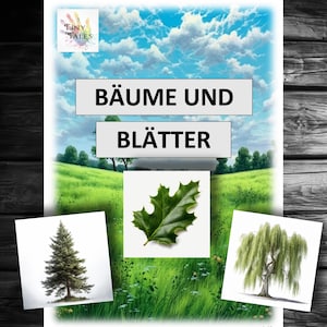 Arbres Feuilles Nature Arbre Forêt Feuille verte Cartes Enfants Maternelle Montessori Jeu Apprentissage Amusement École Concentration Tilleul Hêtre Sapin