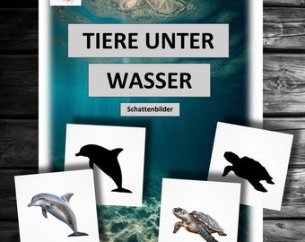 Schattenbilder Tiere Unter Wasser Tierbilder Lernen Spielen Kinder Kindergarten Angebot, Kita Montessori Schattenspiel Krippe Schildkröte