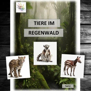 Dierenfoto's deel 2 Dierenkaarten Dieren in het regenwoud Regenwoud Leren Spelen Kleuterschool Kinderen Kerststal Montessori Ideeën voor kinderopvang Slang Cheetah